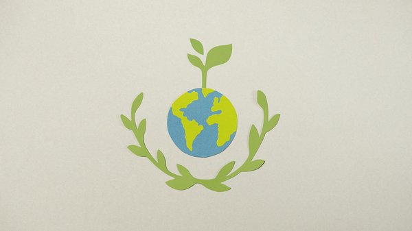 Organiser un anniversaire enfant : idées d'animations captivantes